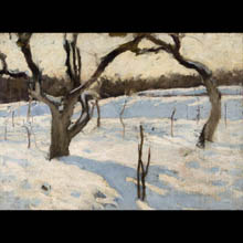 Orchard in Winter