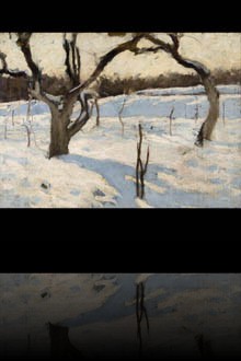 Orchard in Winter