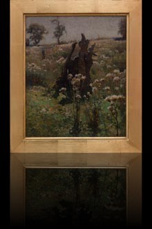 Musk Thistles