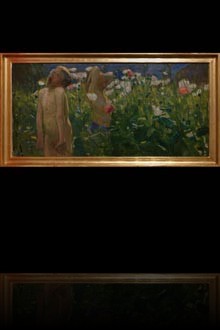 Poppies