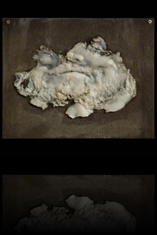 Herbarium II