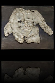 Herbarium VI